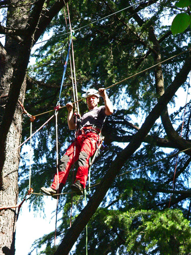 [Immagine: 201271010237_treeclimbing.jpg]