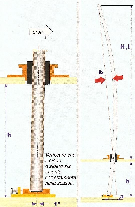 [Immagine: 2013217202753_piedealbero.JPG]